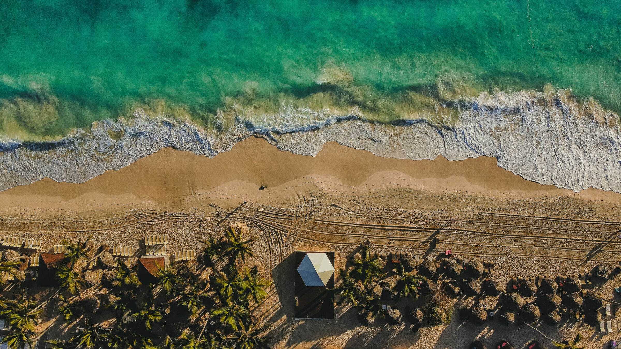 Foto de Willian Mariot de Souza 0